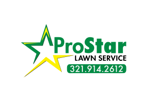 Pro Star Lawn Service